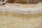 Polished Banded Travertine Slab - New Mexico #324318-1